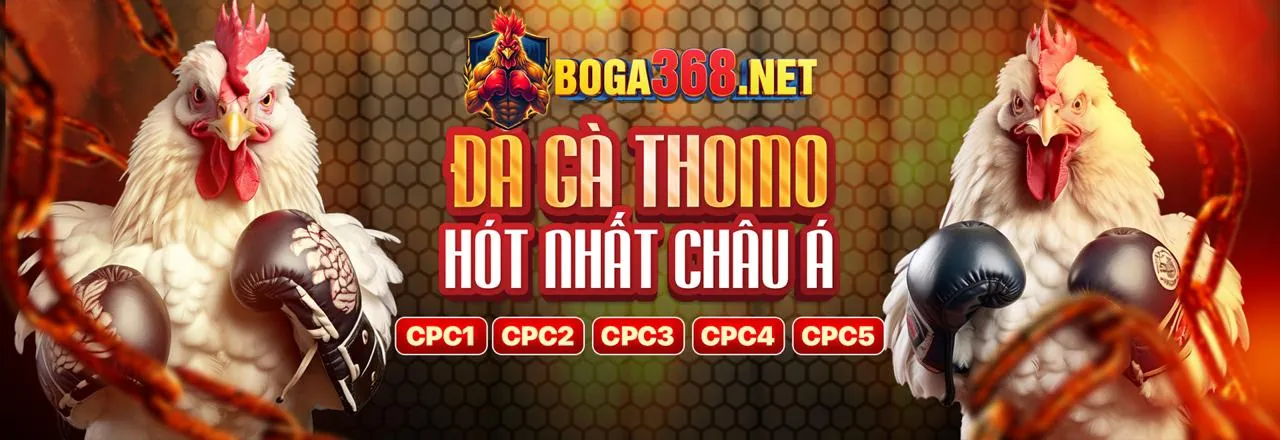 Đá Gà Trực Tuyến 777bet App